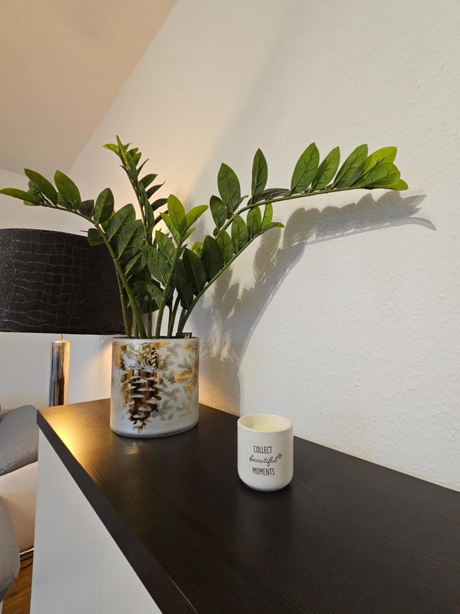 Ecocube Apartment2 Meppen14, Balkon, Kueche, Waschmaschine Cameră foto